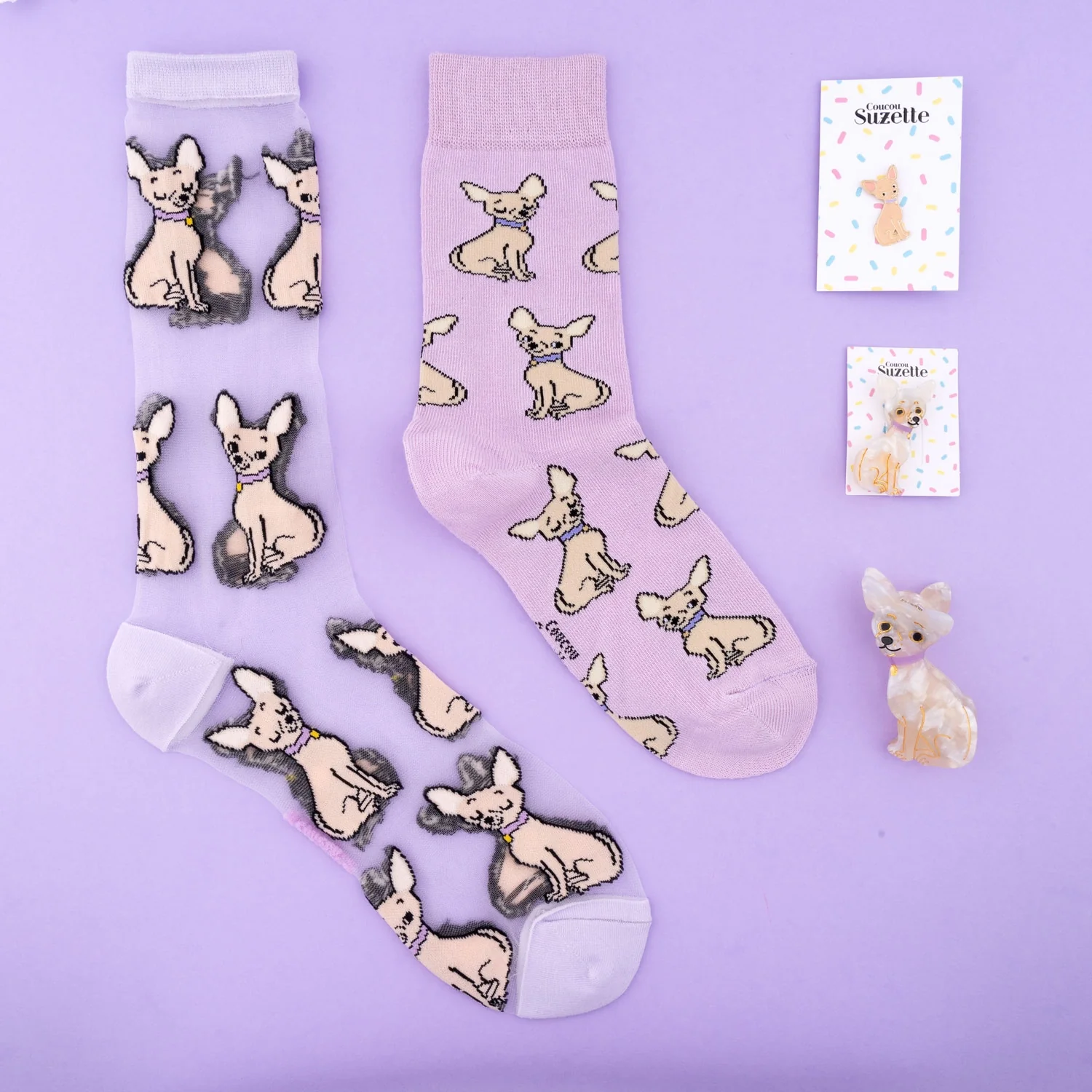 Barrette Chihuahua - Image 5
