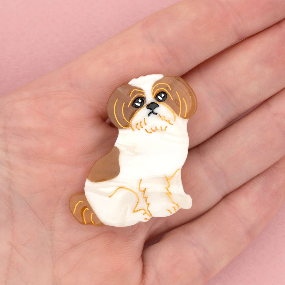 Barrette Shih tzu - Image 3