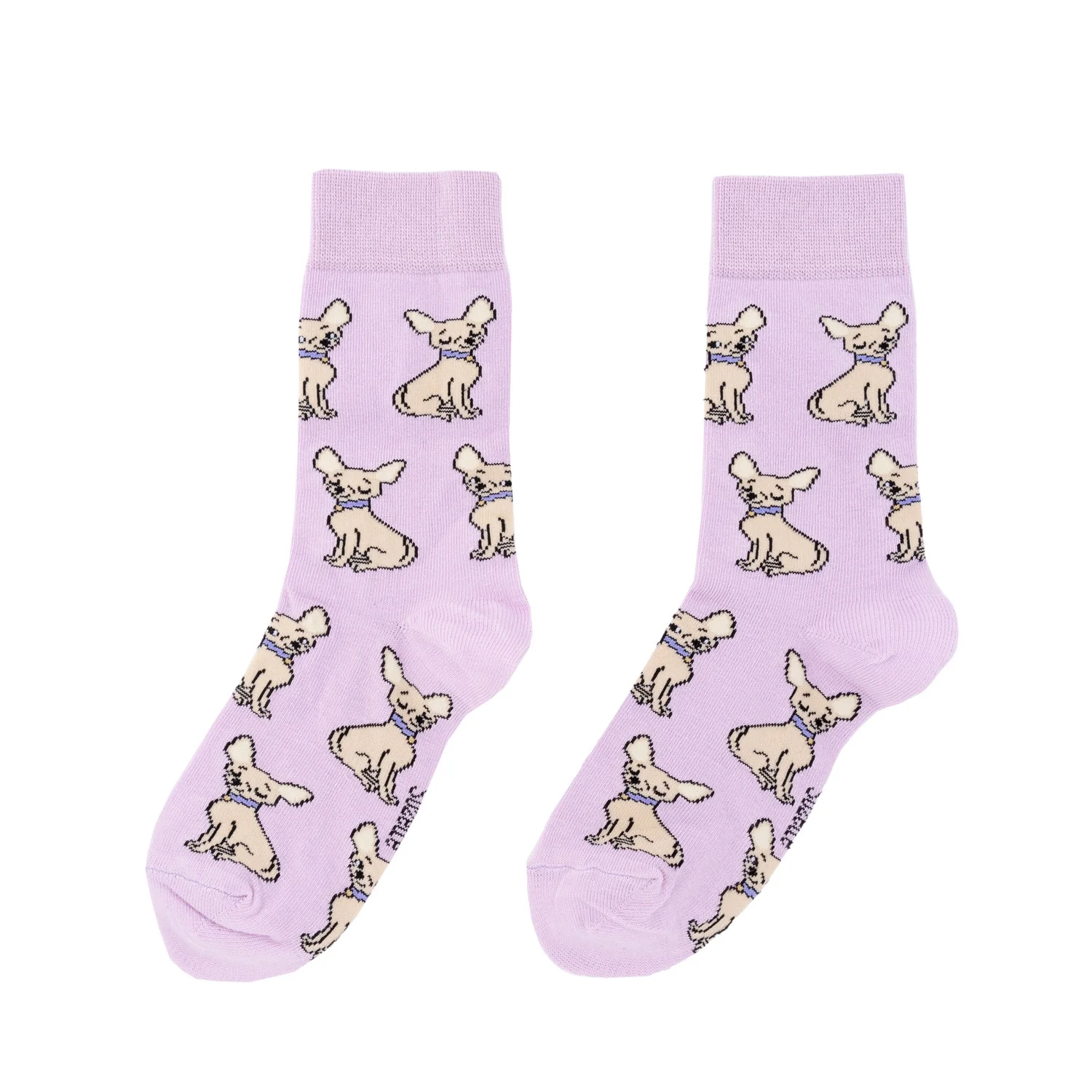 Chaussettes Chihuahua - Image 5