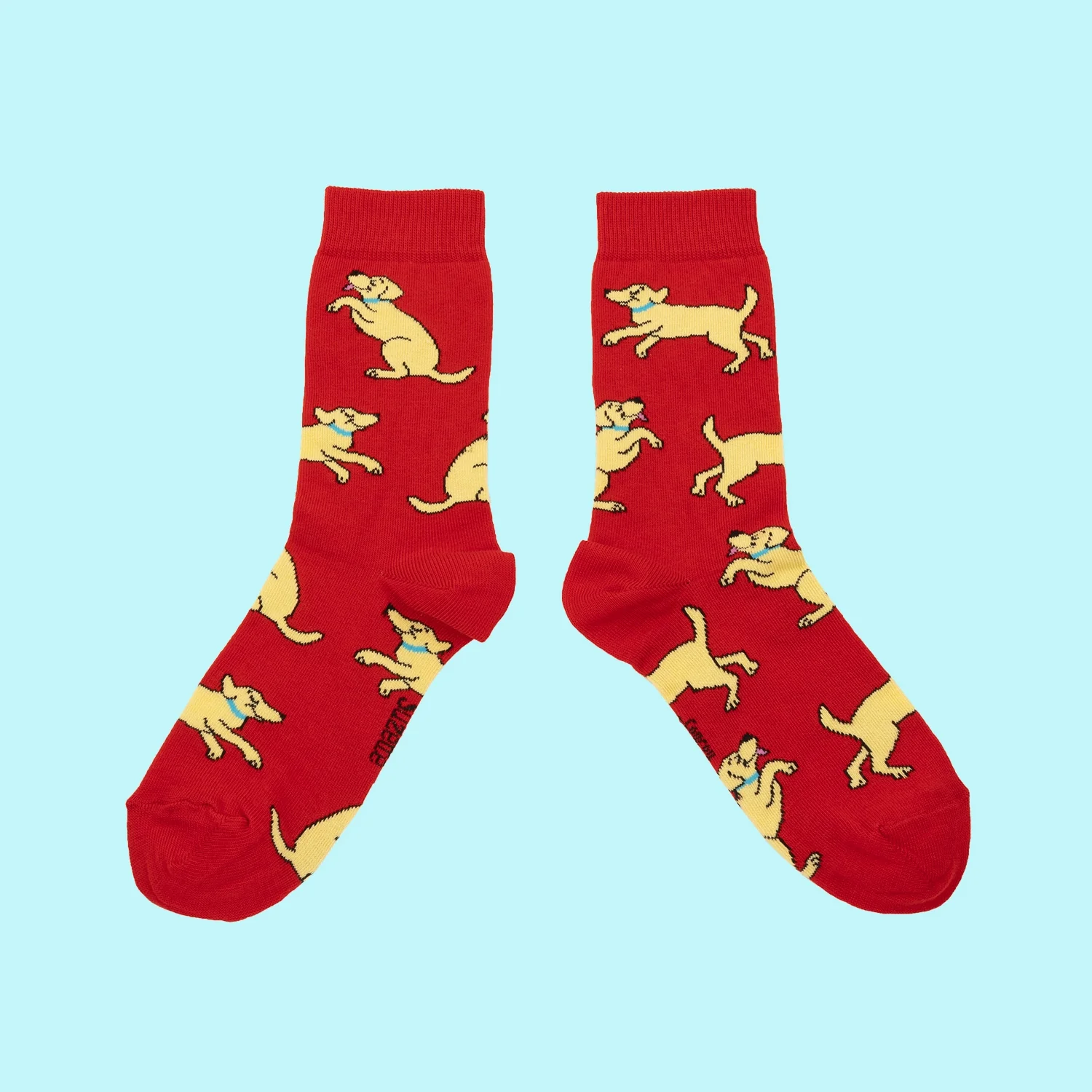 Chaussettes Golden Retriever