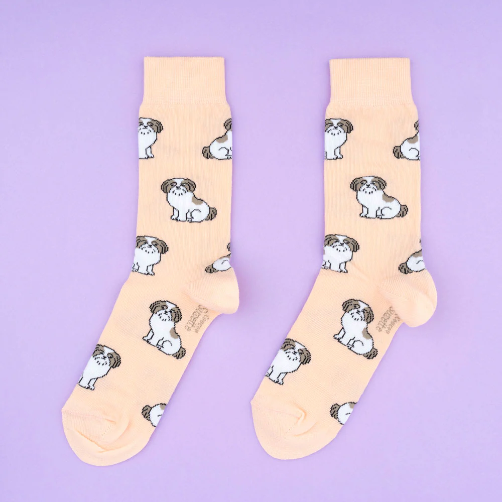 Chaussettes Shih tzu