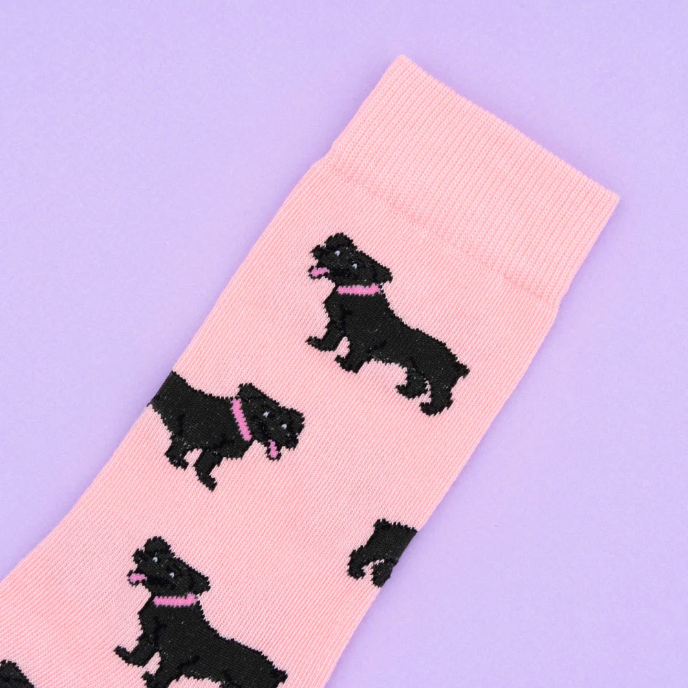 Chaussettes Staffie - Image 3