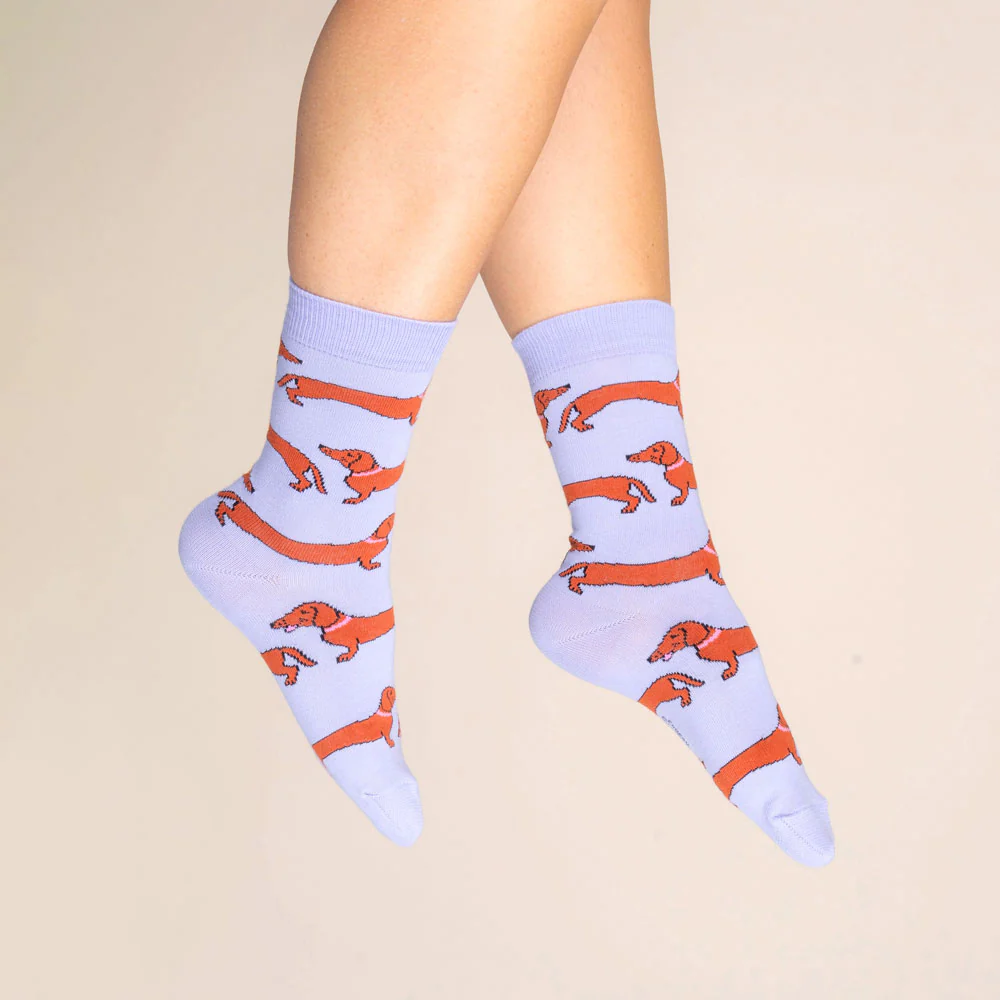 Chaussettes Teckel - Image 4