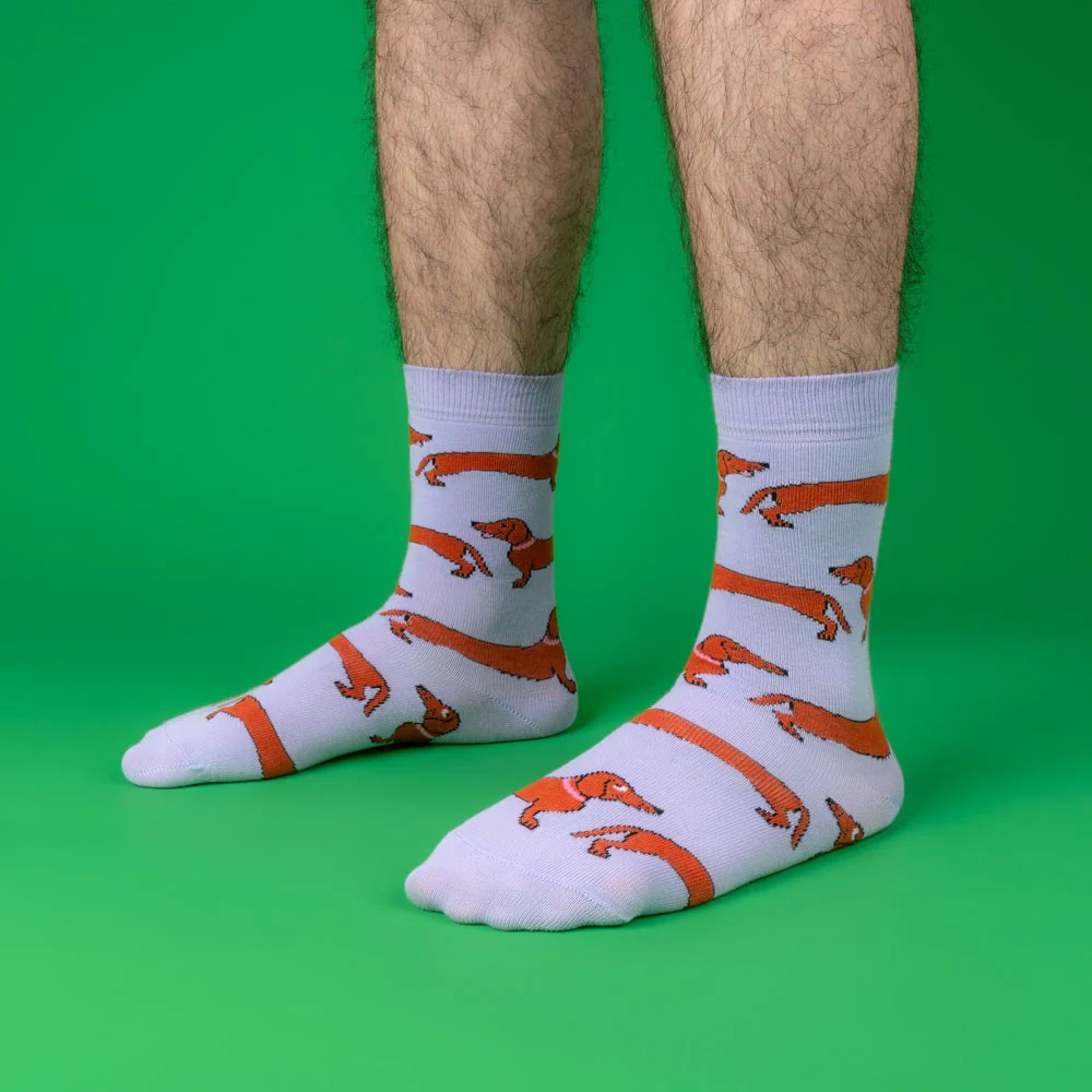 Chaussettes Teckel - Image 6