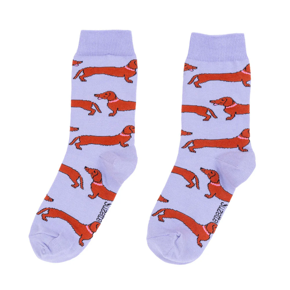 Chaussettes Teckel - Image 7