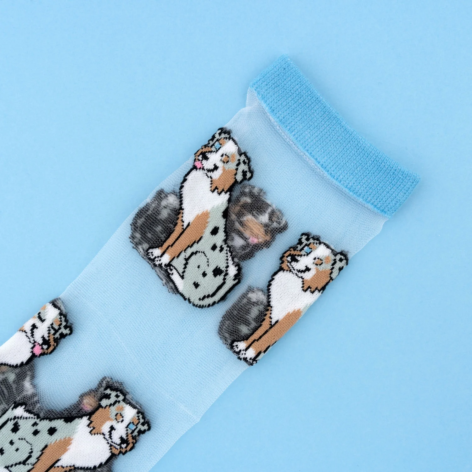 Chaussettes transparentes Berger Australien - Image 2