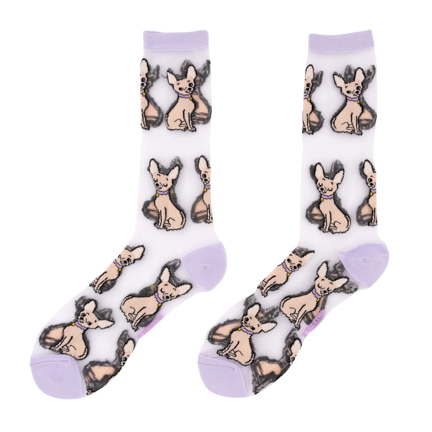 Chaussettes transparentes Chihuahua - Image 3