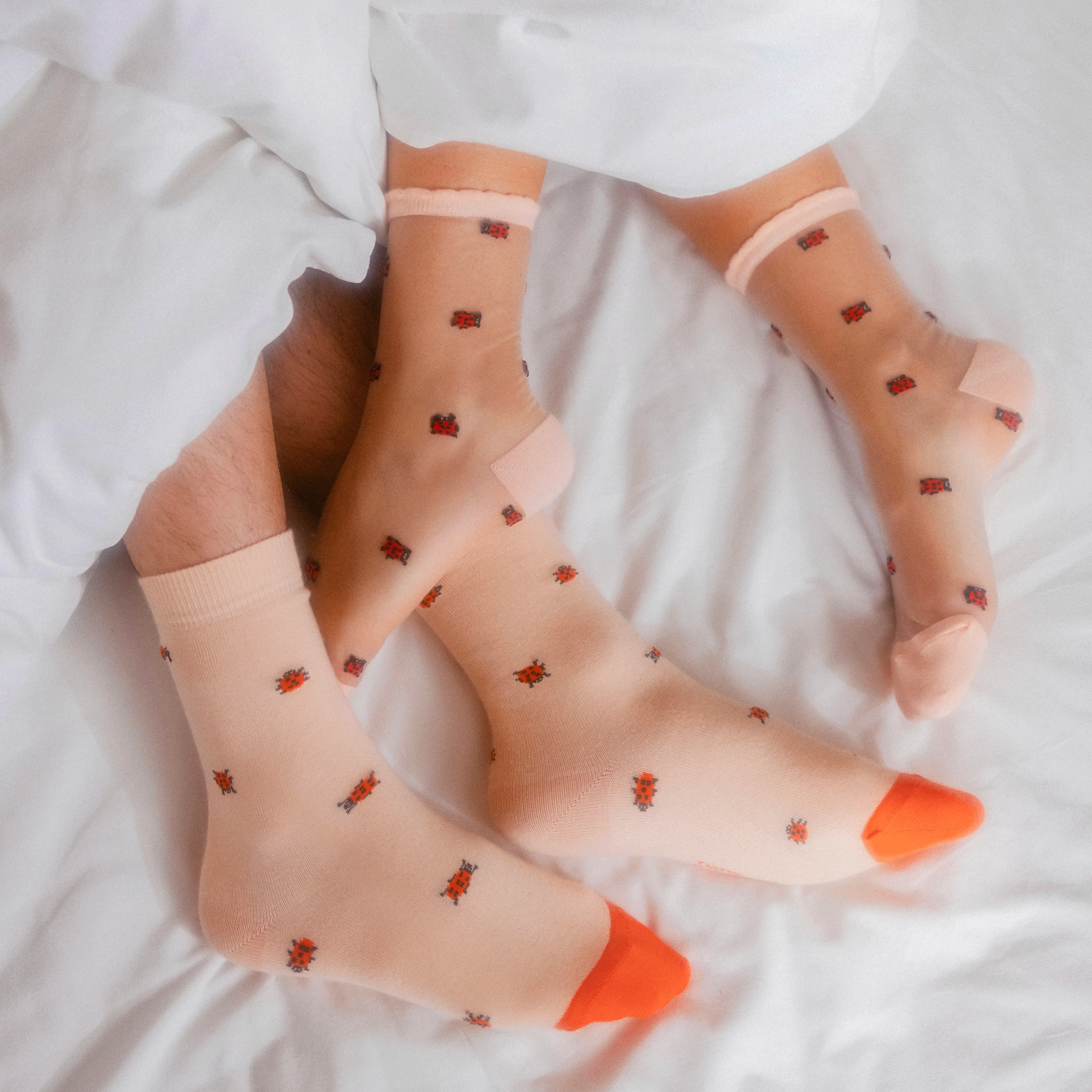 Chaussettes transparentes Coccinelle - Image 3