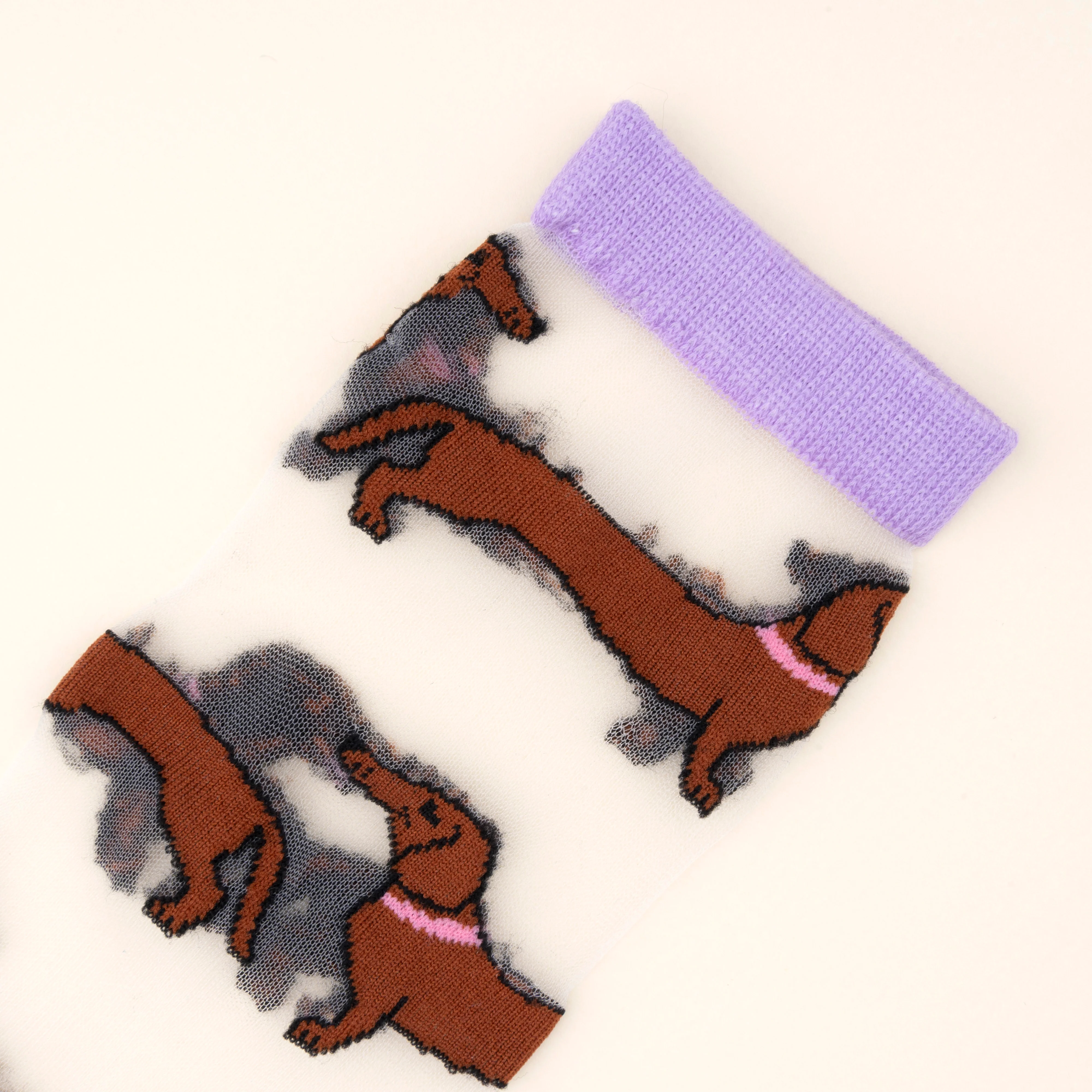 Chaussettes transparentes Teckel - Image 3