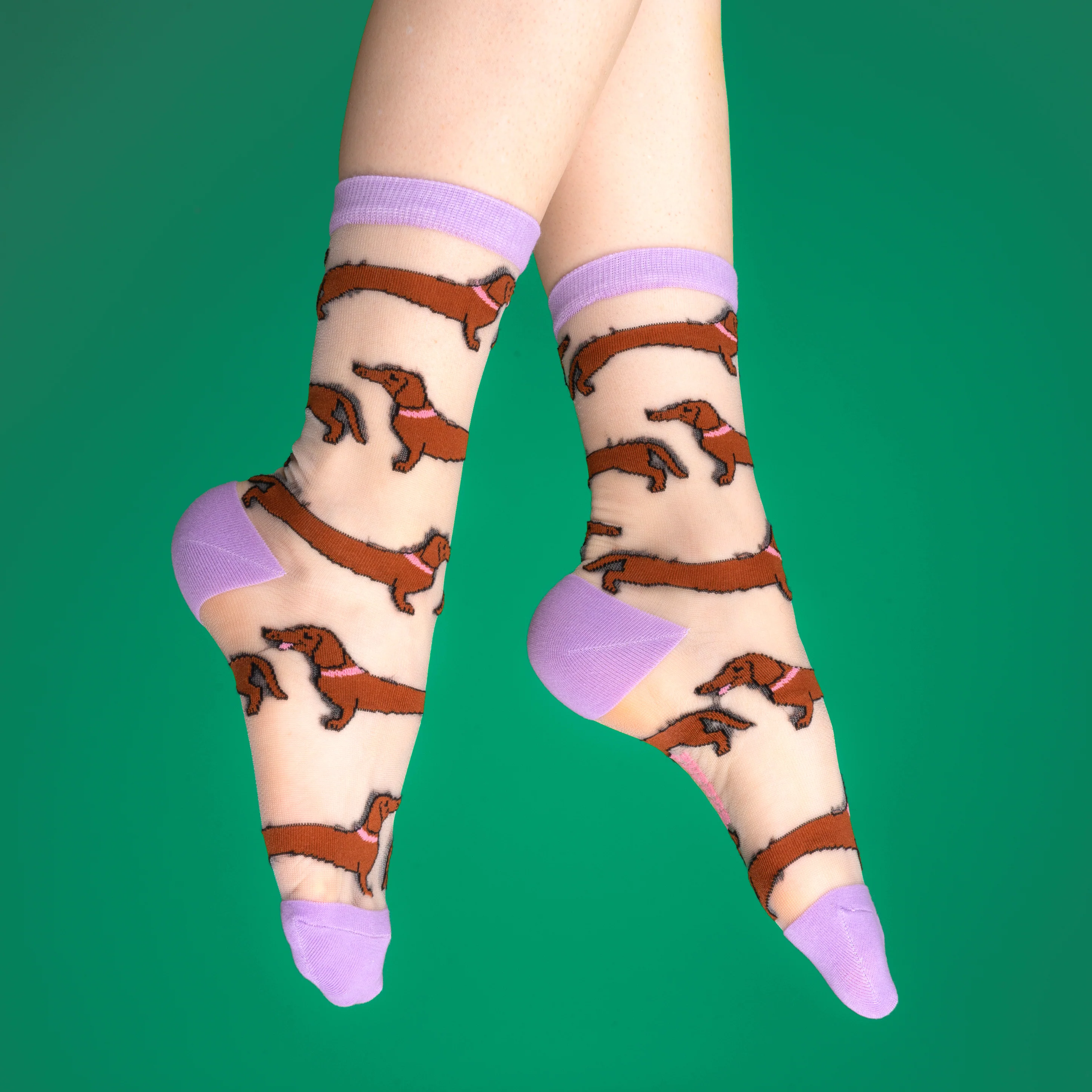Chaussettes transparentes Teckel - Image 4