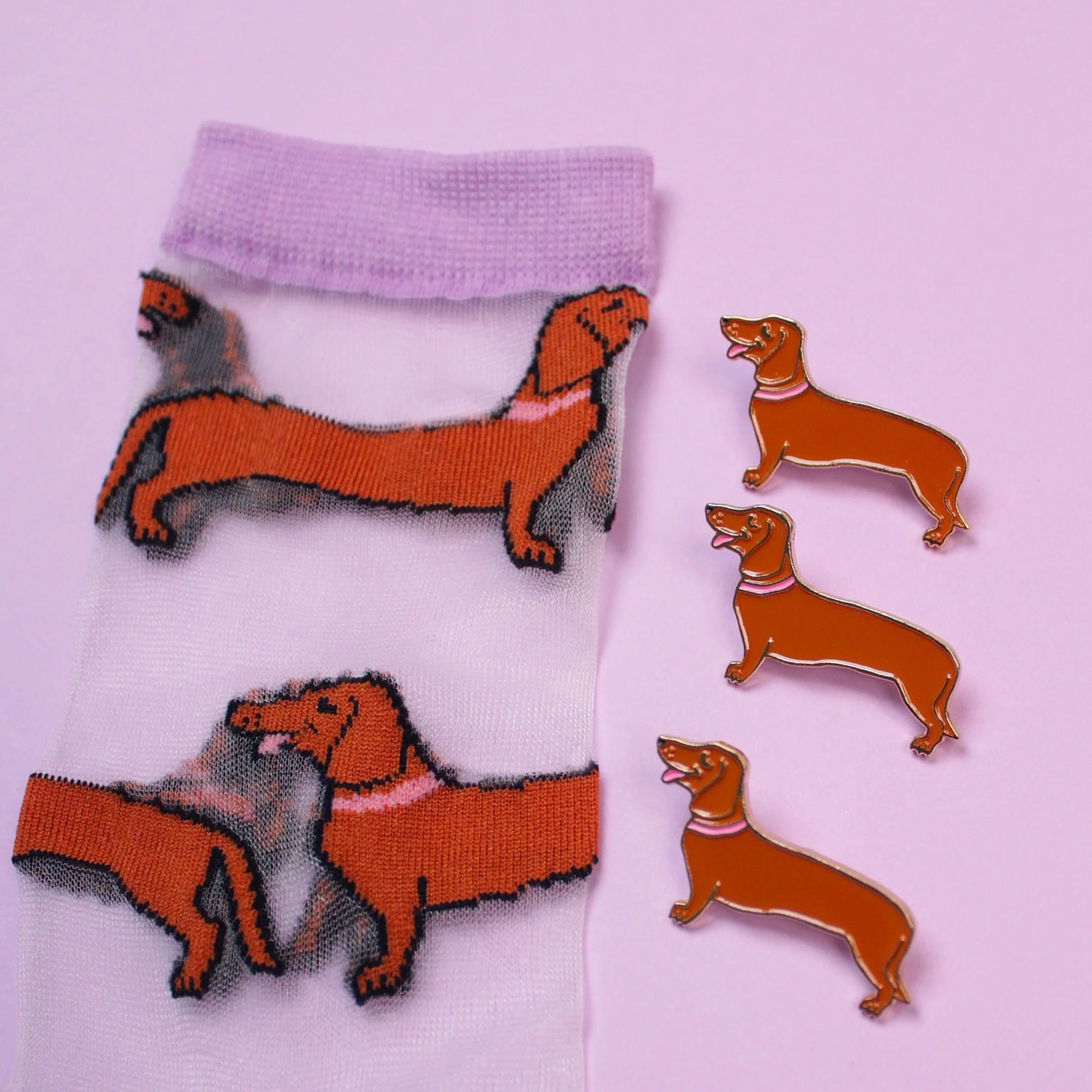 Chaussettes transparentes Teckel - Image 6