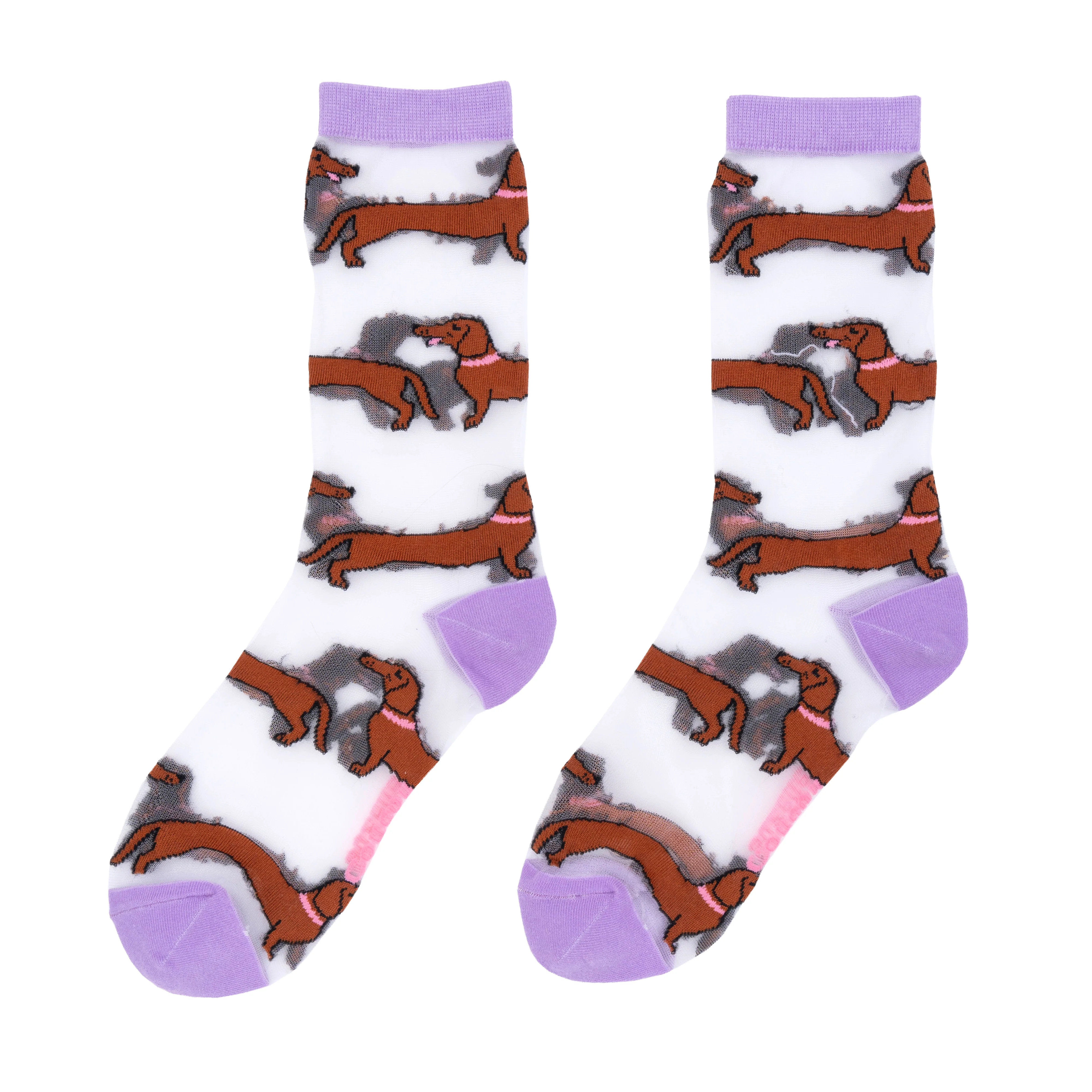 Chaussettes transparentes Teckel - Image 7