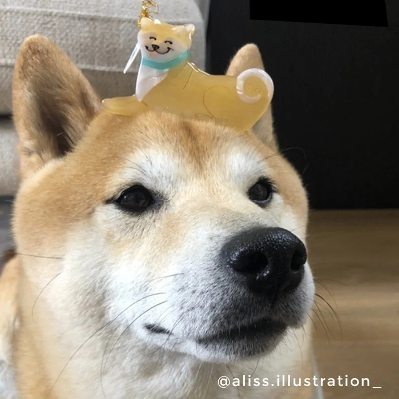 Pince à cheveux Shiba - Image 4
